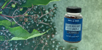Boost Your Immunity Naturally: The Secrets of Elderberry & Vitamin C